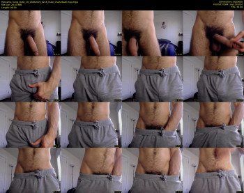 hung_dude_19 — 6 minute Chaturbate male cam show recording, 480p, Jun 15, 2019