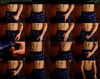 hung_dude_19 — 13 minute Chaturbate male cam show recording, 480p, Jun 15, 2019