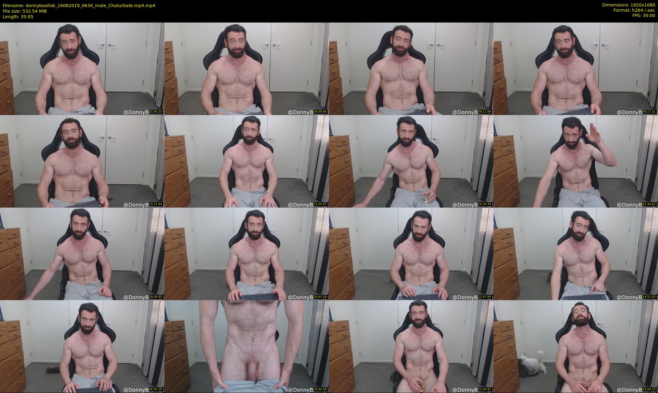 donnybasilisk — 36 minute Chaturbate male cam show recording, 1080p, Jun 16, 2019