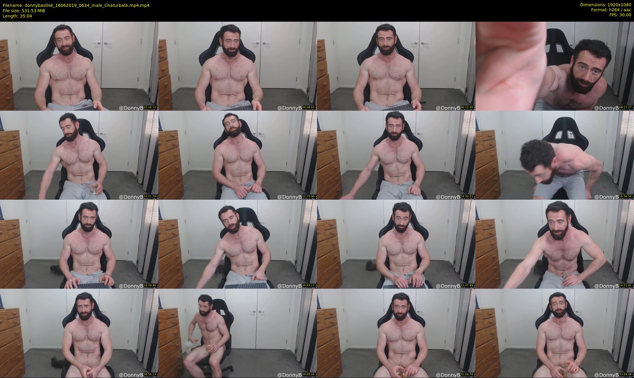 donnybasilisk — 36 minute Chaturbate male cam show recording, 1080p, Jun 16, 2019