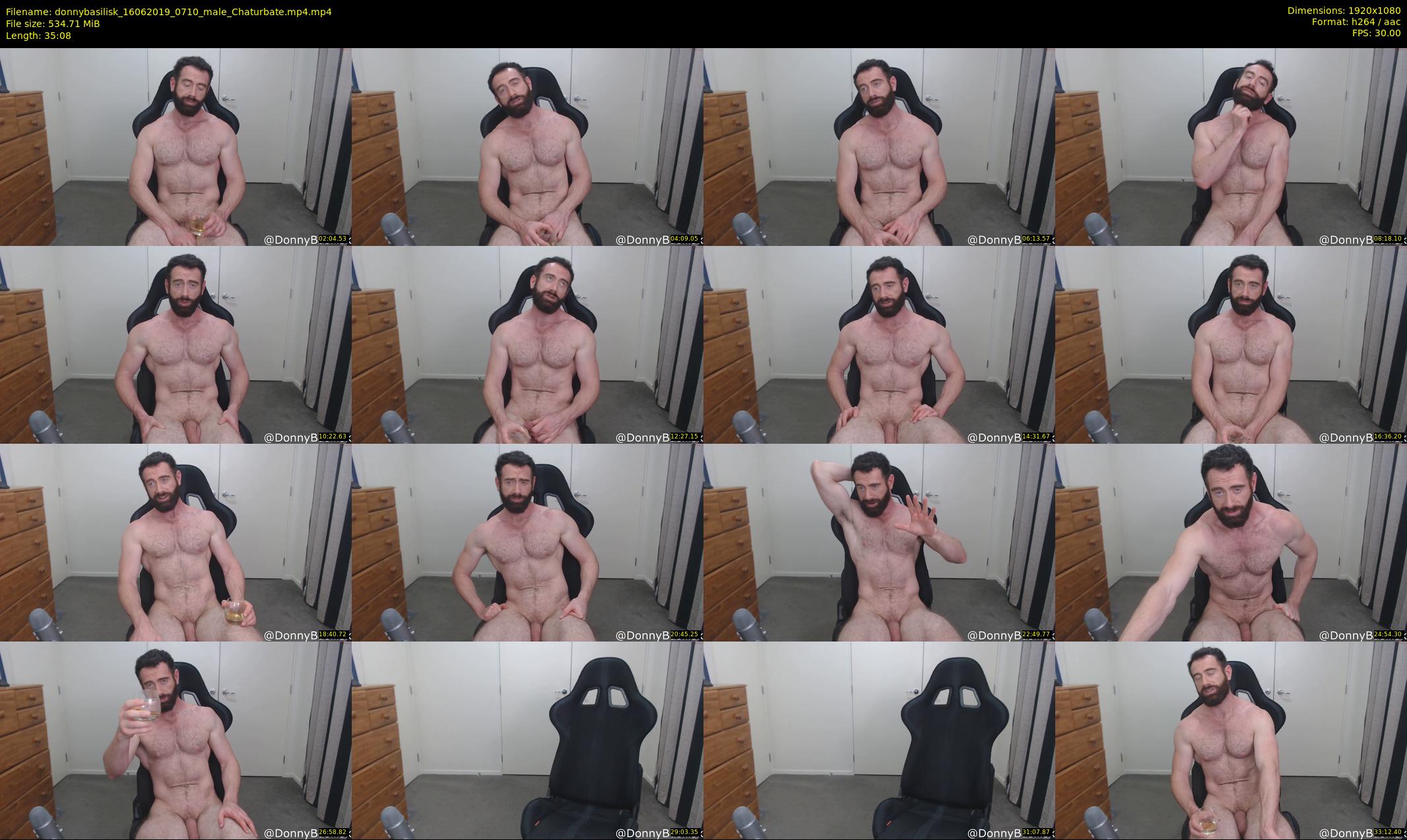 donnybasilisk — 36 minute Chaturbate male cam show recording, 1080p, Jun 16, 2019