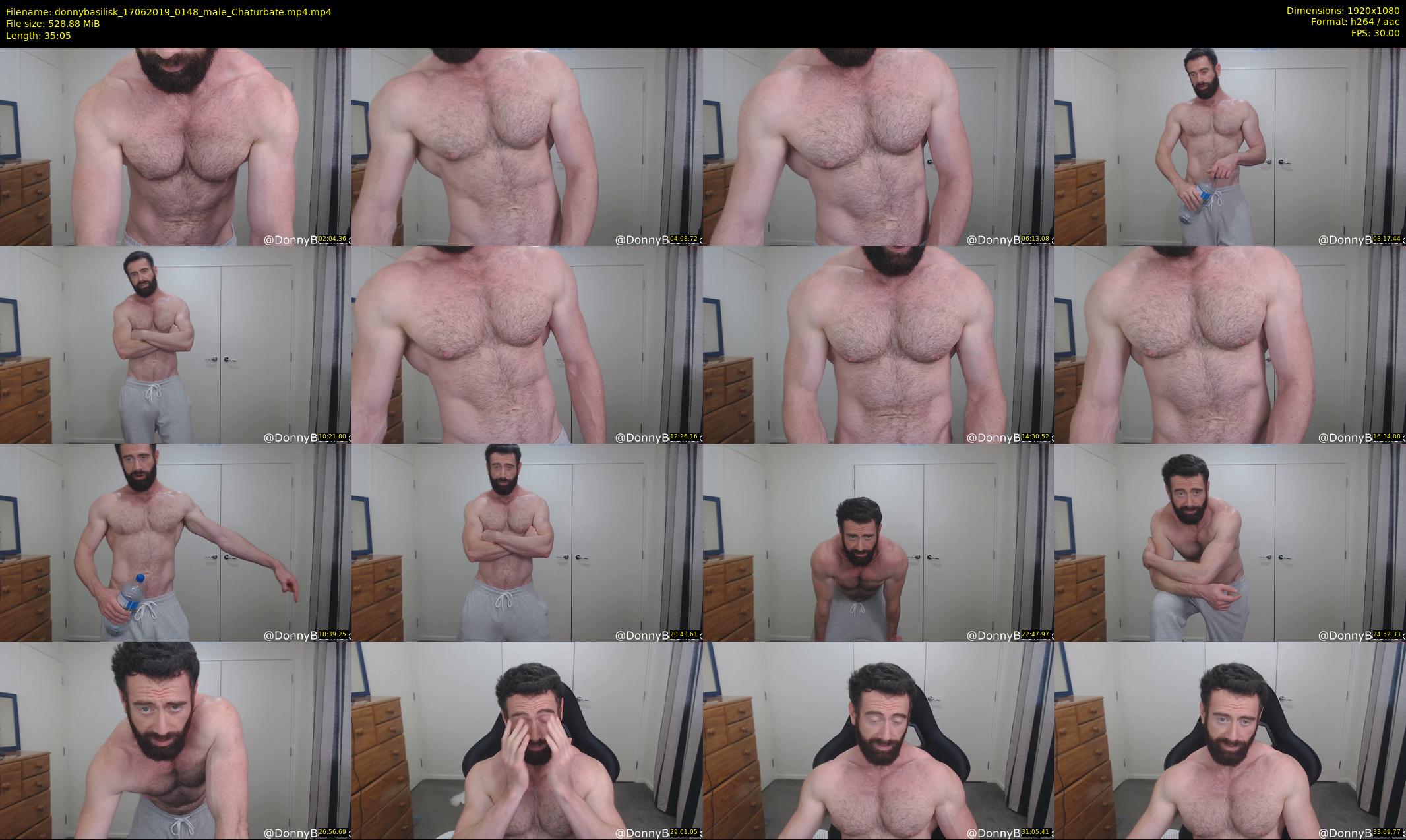 donnybasilisk — 36 minute Chaturbate male cam show recording, 1080p, Jun 17, 2019