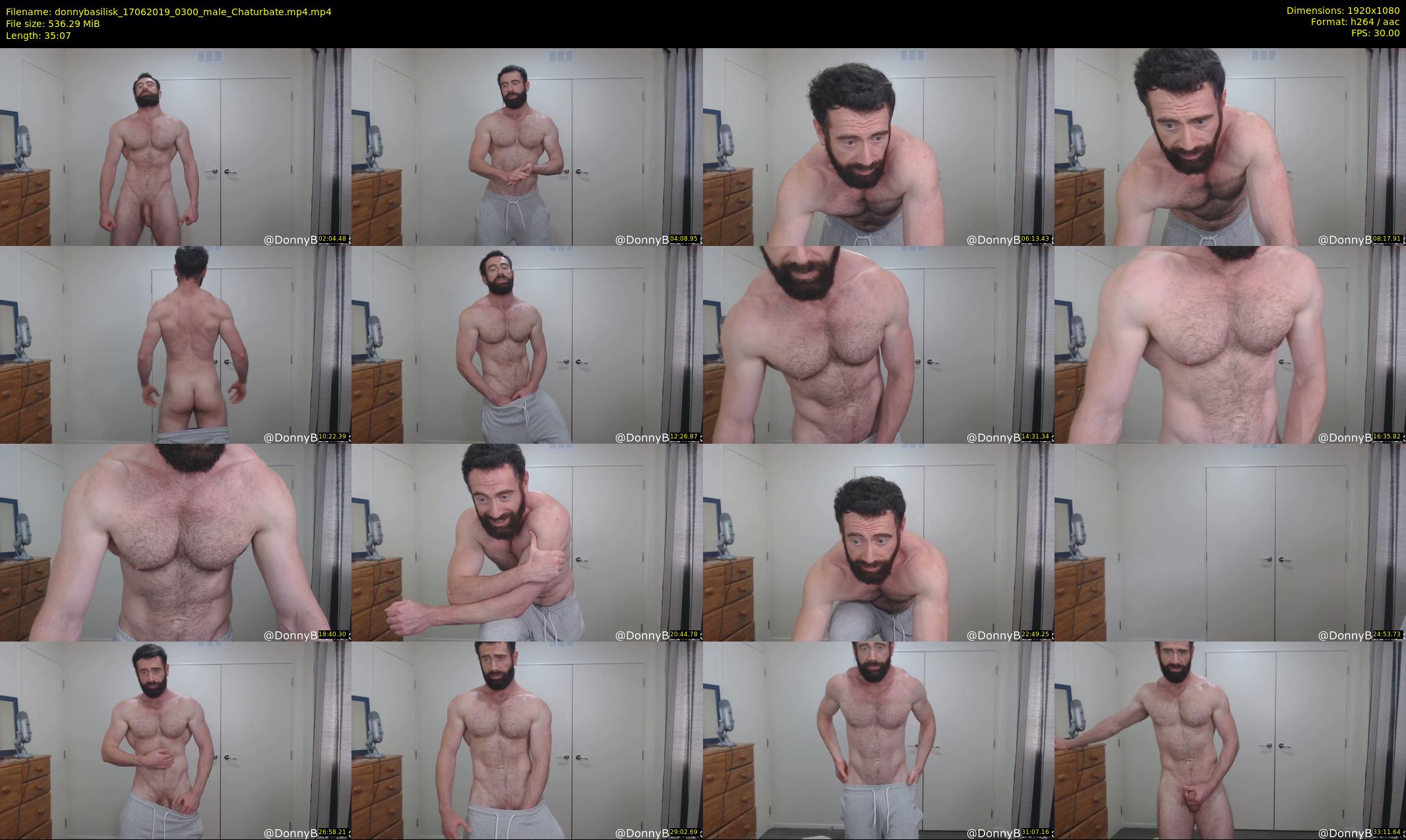donnybasilisk — 36 minute Chaturbate male cam show recording, 1080p, Jun 17, 2019