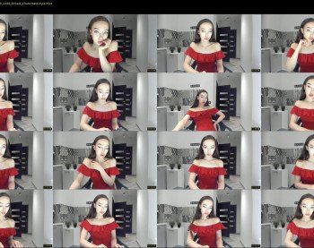 presidenttaylor — 29 minute Chaturbate female cam show recording, 720p, Jun 16, 2019
