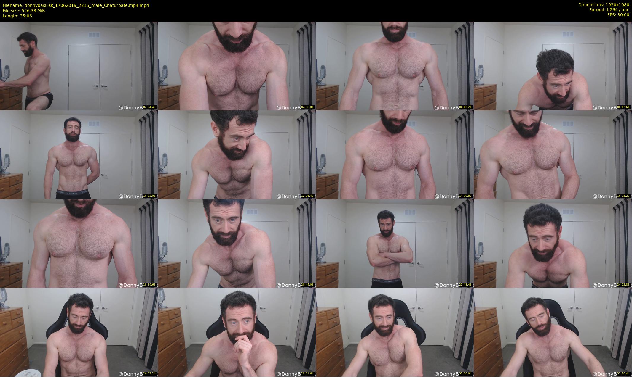 donnybasilisk — 36 minute Chaturbate male cam show recording, 1080p, Jun 17, 2019