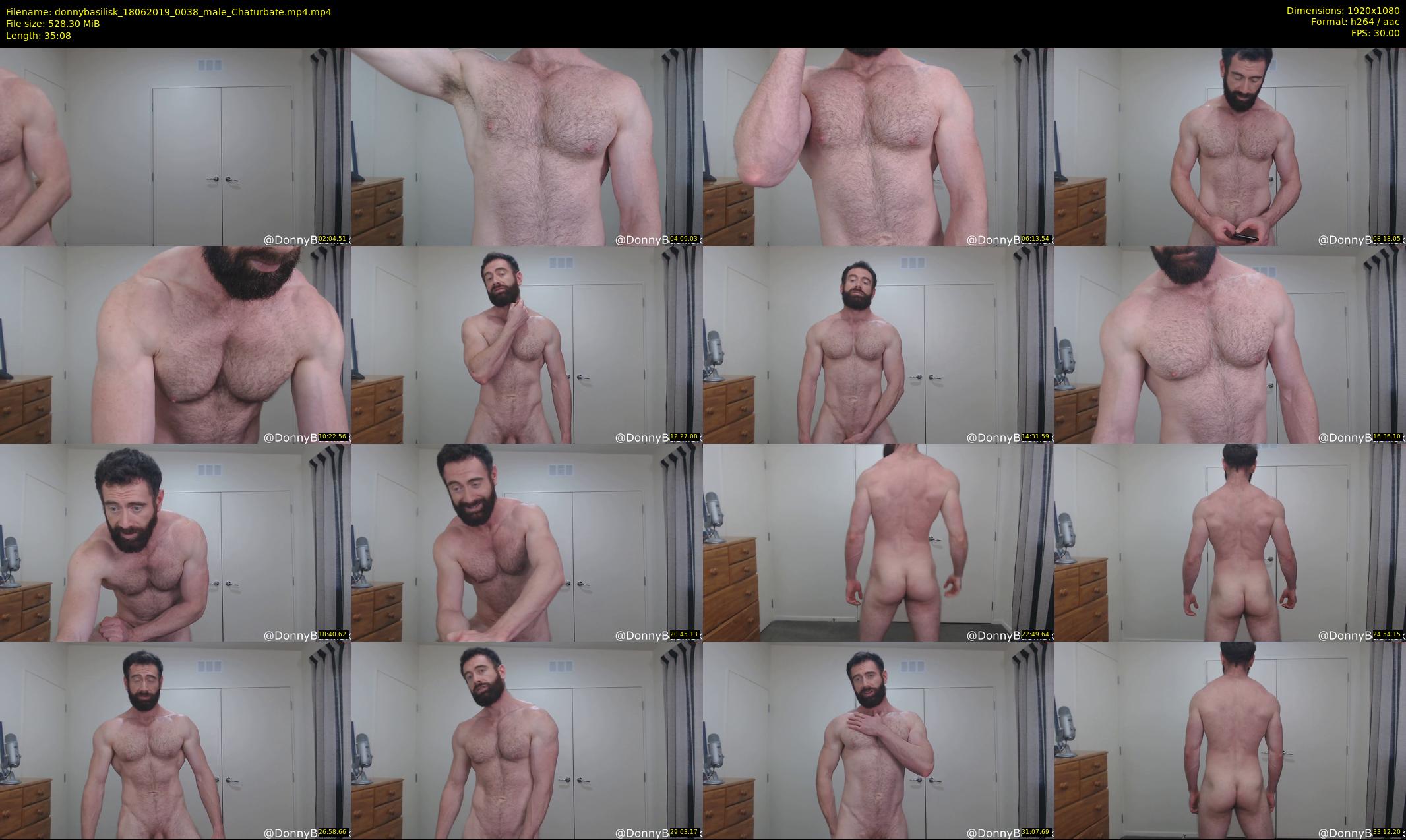 donnybasilisk — 36 minute Chaturbate male cam show recording, 1080p, Jun 18, 2019