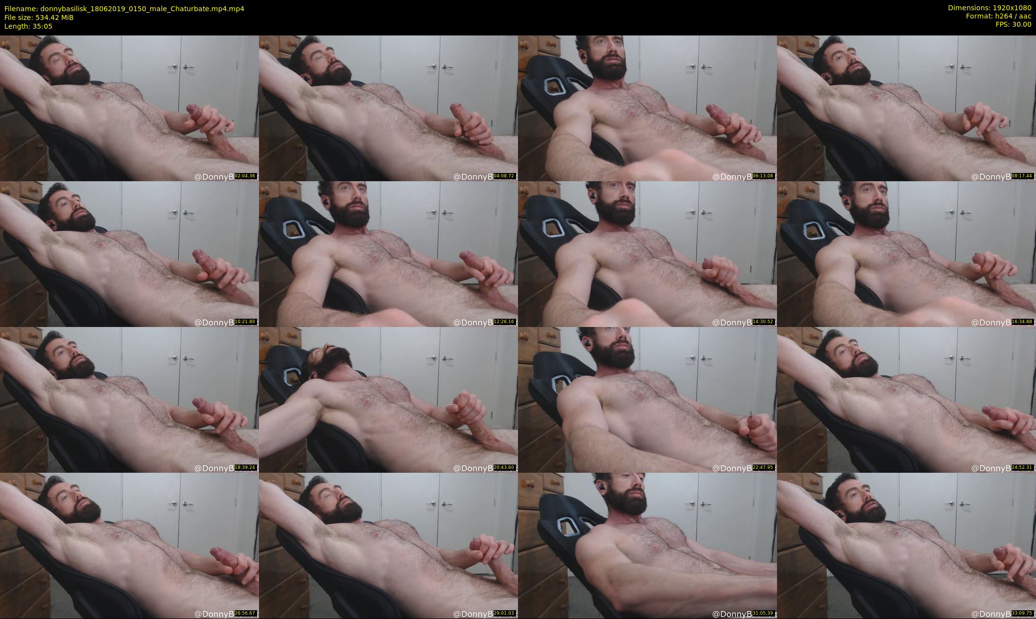 donnybasilisk — 36 minute Chaturbate male cam show recording, 1080p, Jun 18, 2019