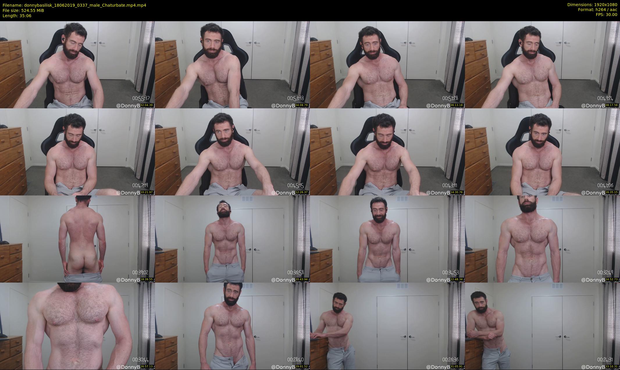 donnybasilisk — 36 minute Chaturbate male cam show recording, 1080p, Jun 18, 2019