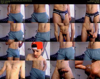 hung_dude_19 — 217 minute Chaturbate male cam show recording, 480p, Jun 24, 2019
