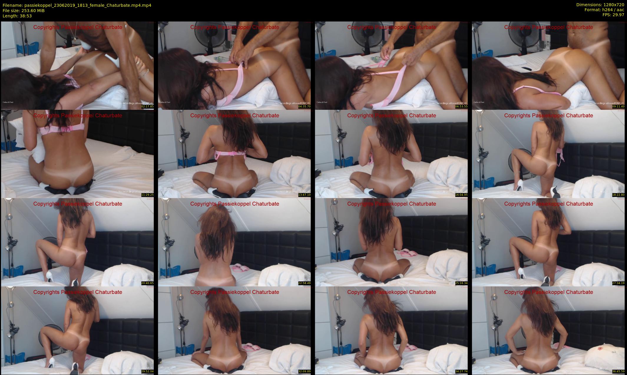 passiekoppel — 39 minute Chaturbate couple cam show recording, 720p, Jun 23, 2019