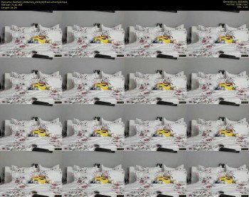 WetSelf — 5 minute MyFreeCams cam show recording, 480p, Jun 24, 2019