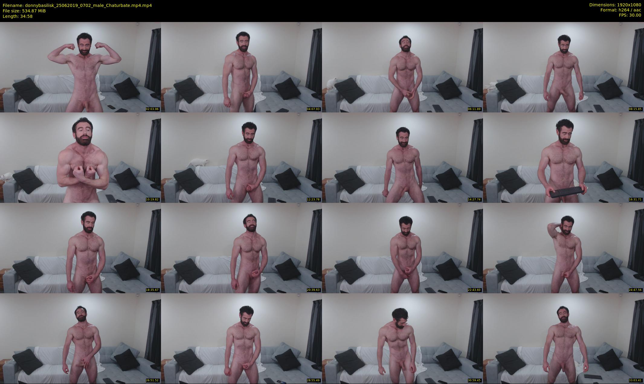 donnybasilisk — 35 minute Chaturbate male cam show recording, 1080p, Jun 25, 2019