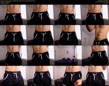hung_dude_19 — 70 minute Chaturbate male cam show recording, 480p, Jun 26, 2019