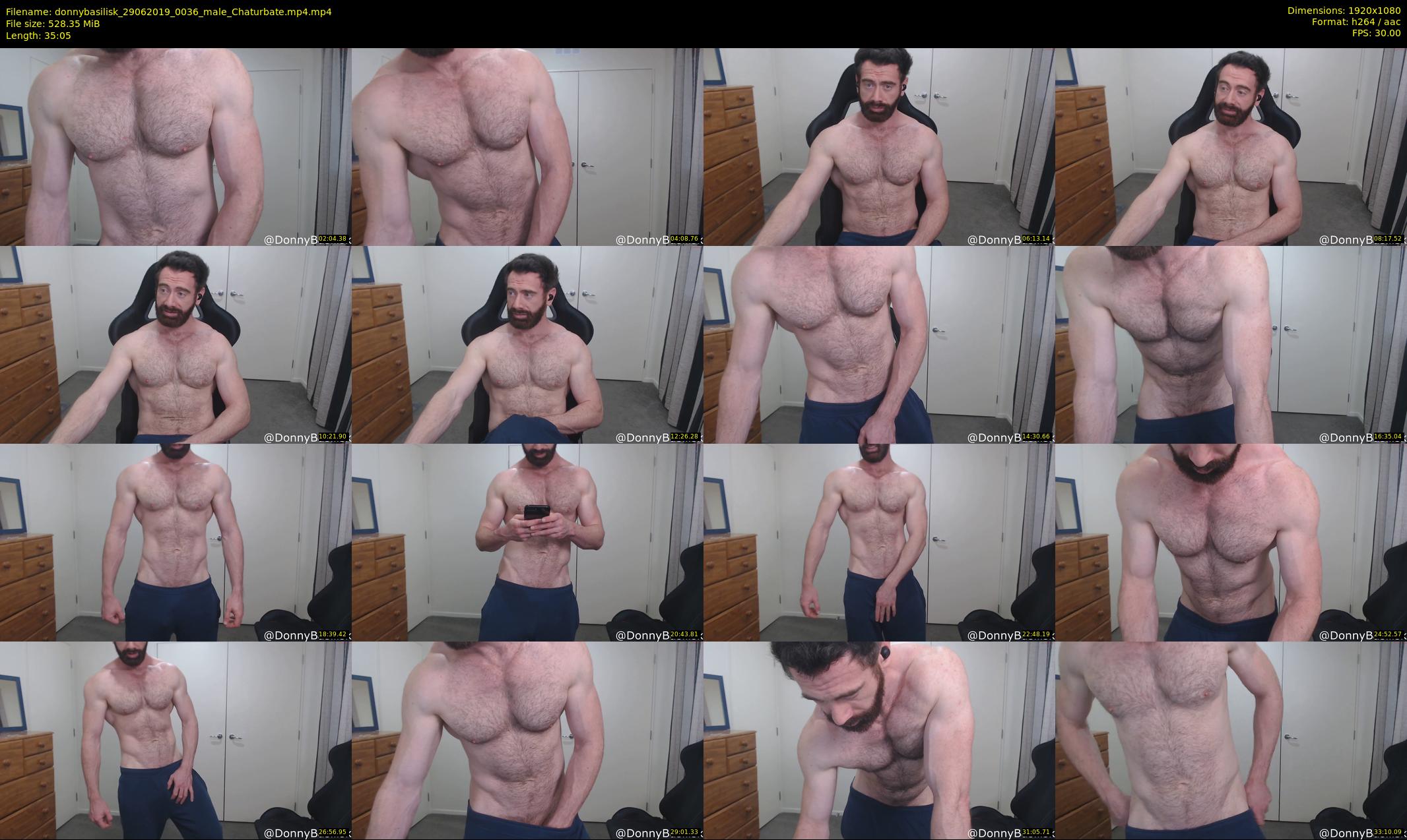 donnybasilisk — 36 minute Chaturbate male cam show recording, 1080p, Jun 29, 2019