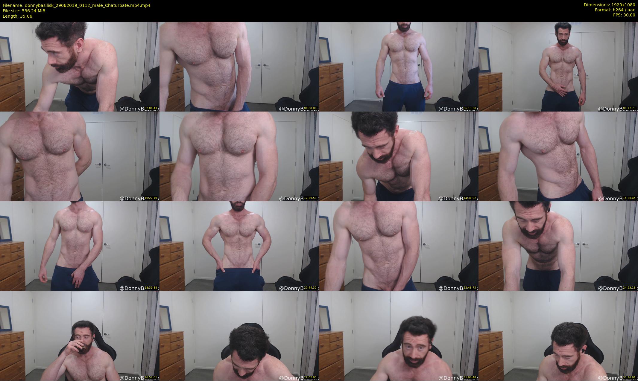 donnybasilisk — 36 minute Chaturbate male cam show recording, 1080p, Jun 29, 2019
