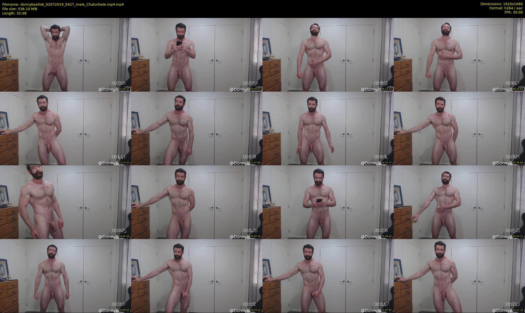 donnybasilisk — 36 minute Chaturbate male cam show recording, 1080p, Jul 2, 2019