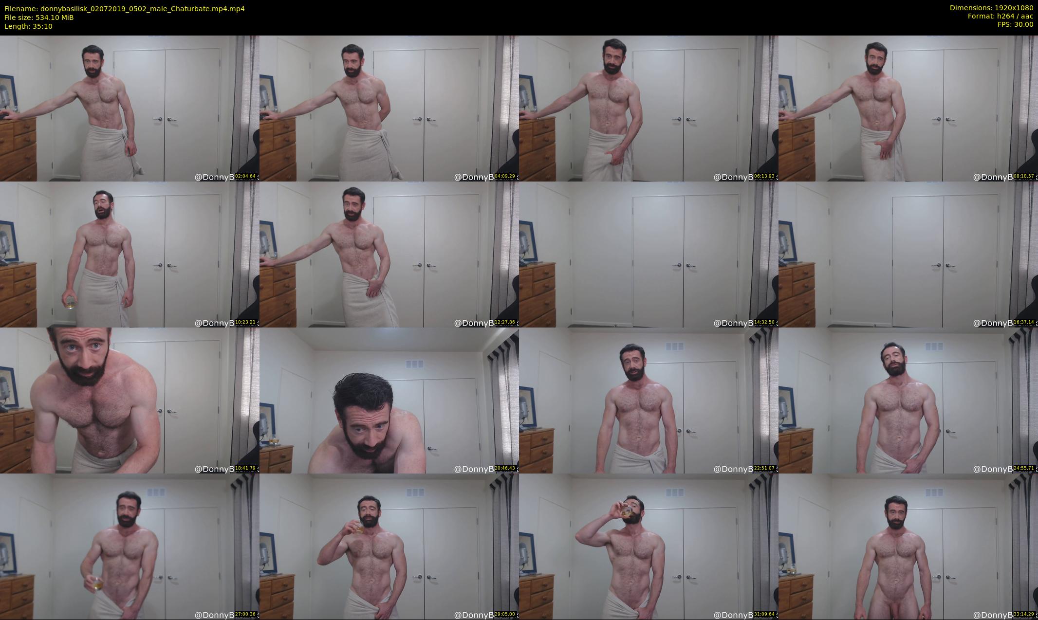 donnybasilisk — 36 minute Chaturbate male cam show recording, 1080p, Jul 2, 2019