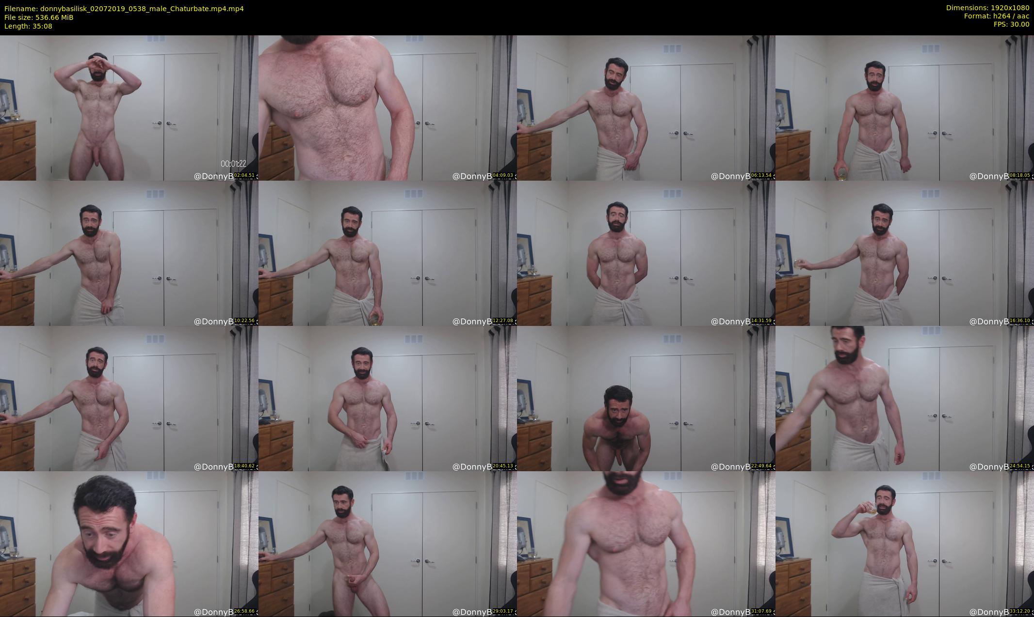 donnybasilisk — 36 minute Chaturbate male cam show recording, 1080p, Jul 2, 2019