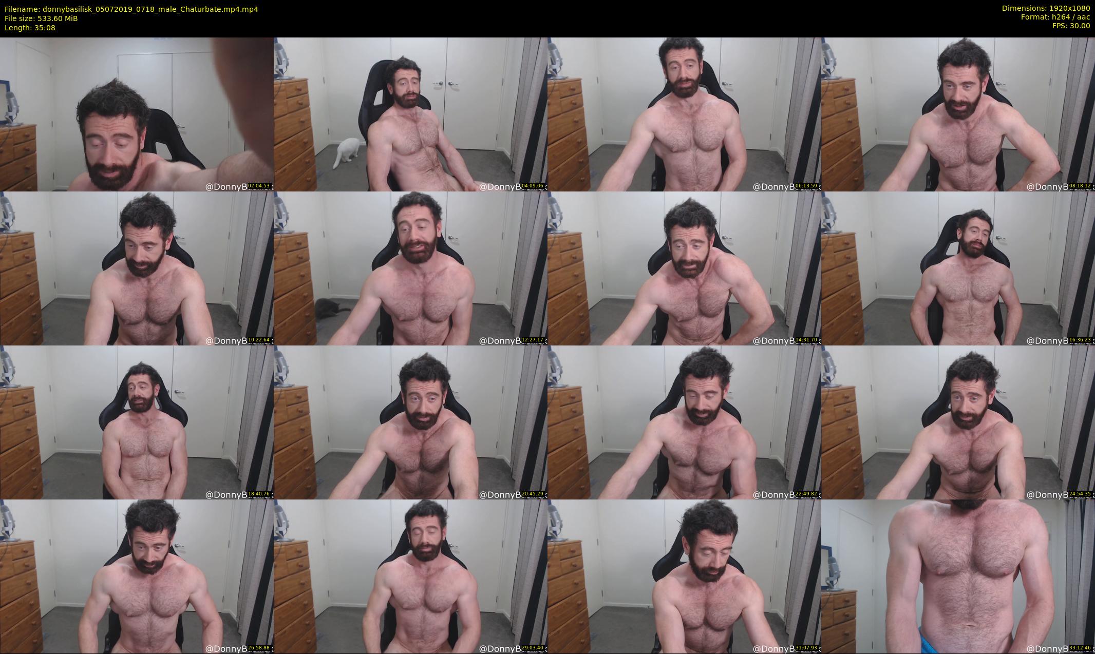 donnybasilisk — 36 minute Chaturbate male cam show recording, 1080p, Jul 5, 2019