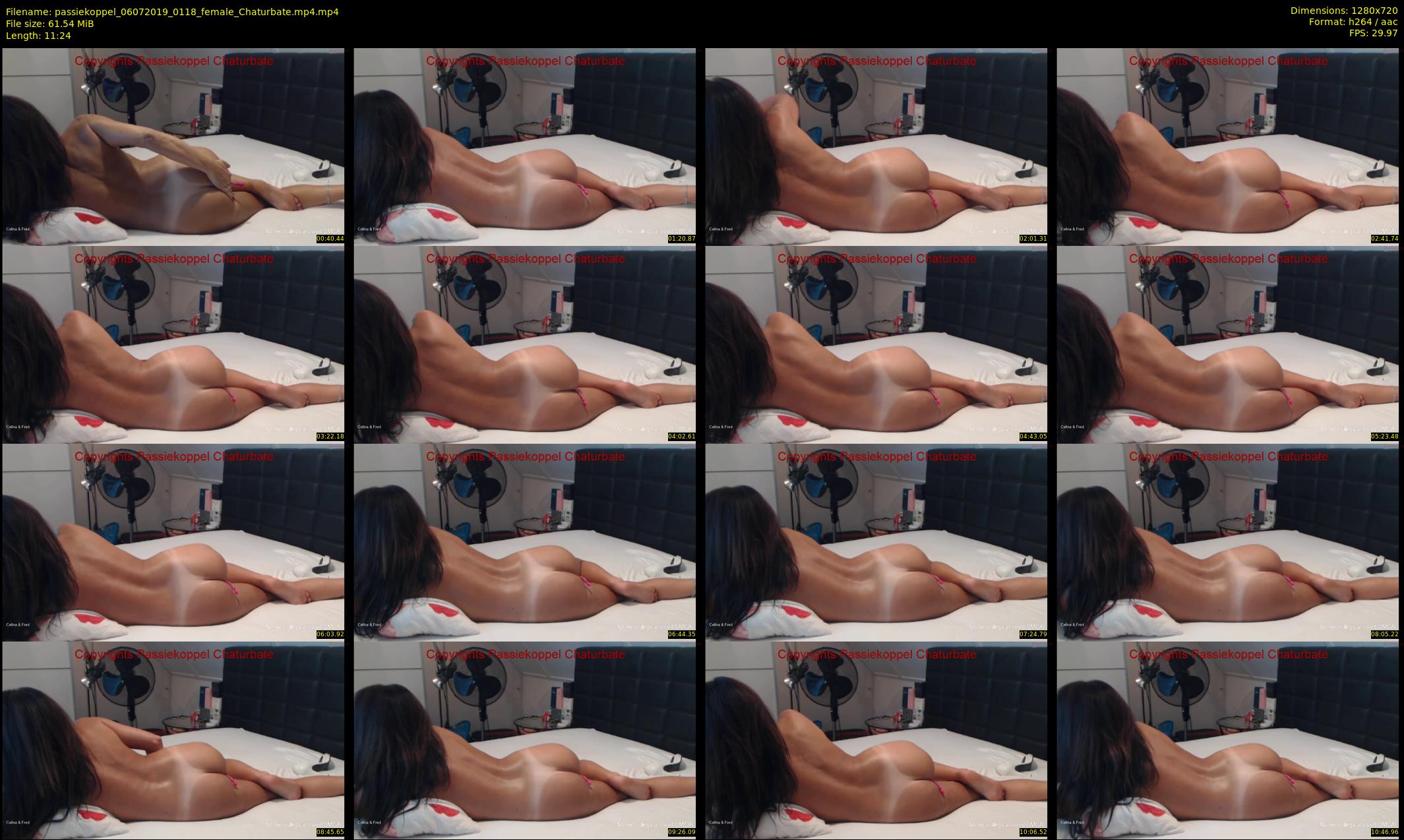 passiekoppel — 12 minute Chaturbate couple cam show recording, 720p, Jul 6, 2019