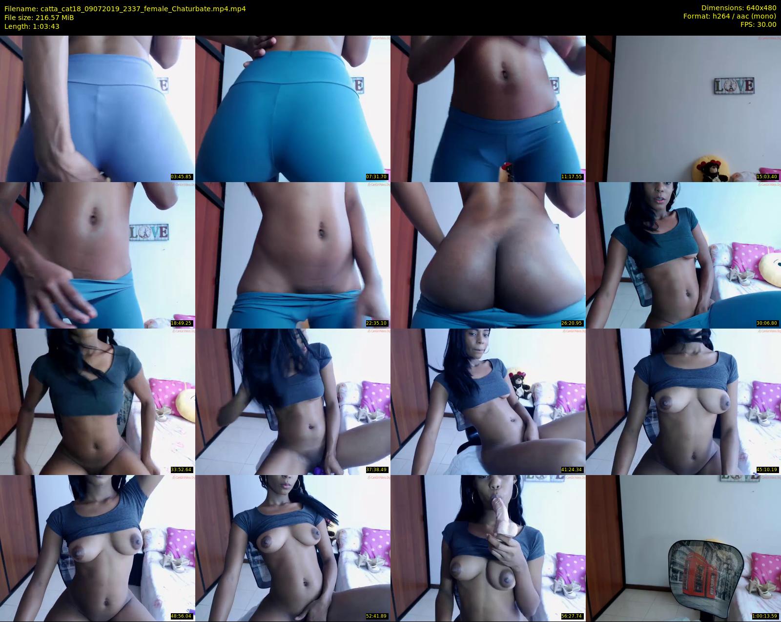 catta_cat18 — 64 minute Chaturbate female cam show recording, 480p, Jul 9, 2019