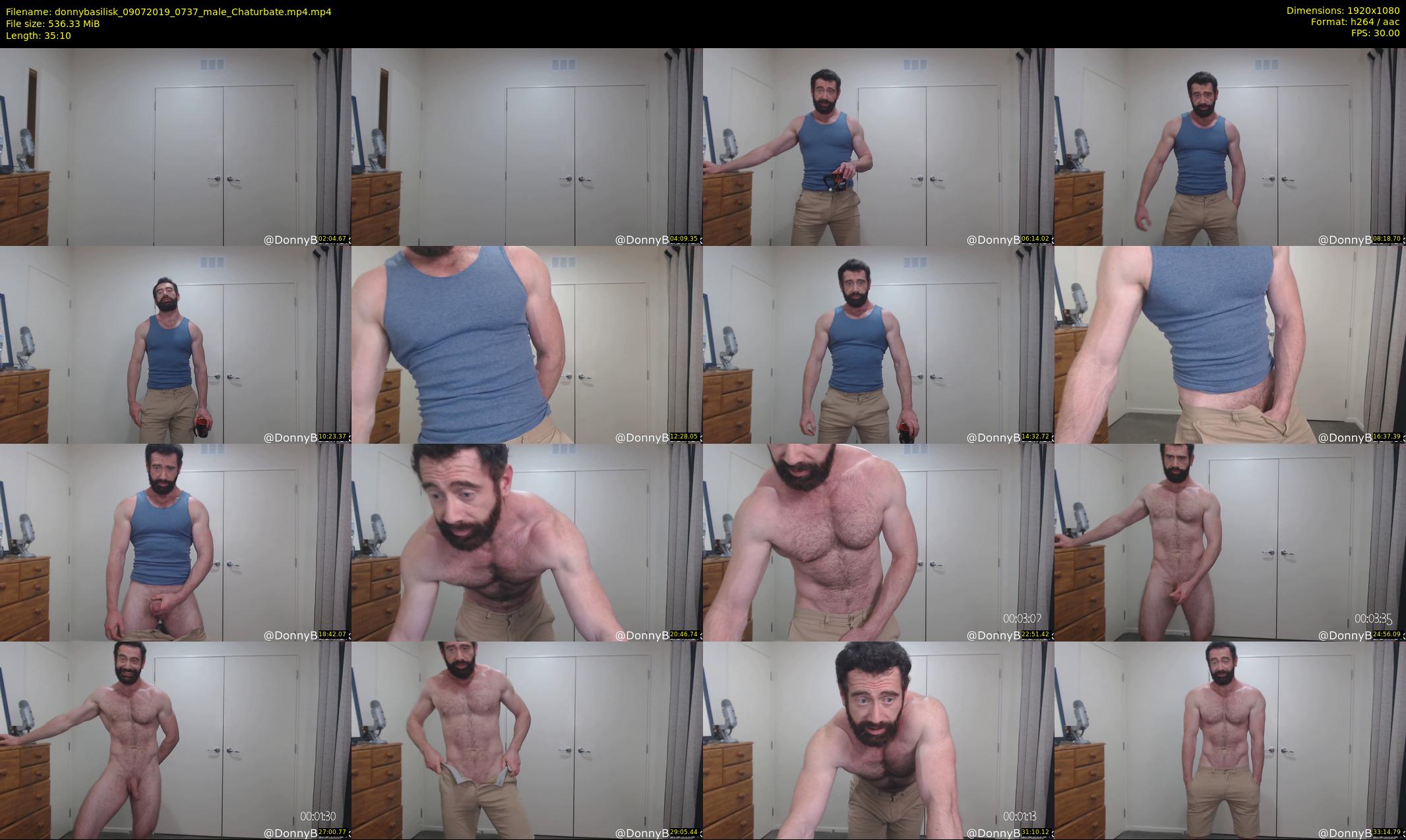 donnybasilisk — 36 minute Chaturbate male cam show recording, 1080p, Jul 9, 2019