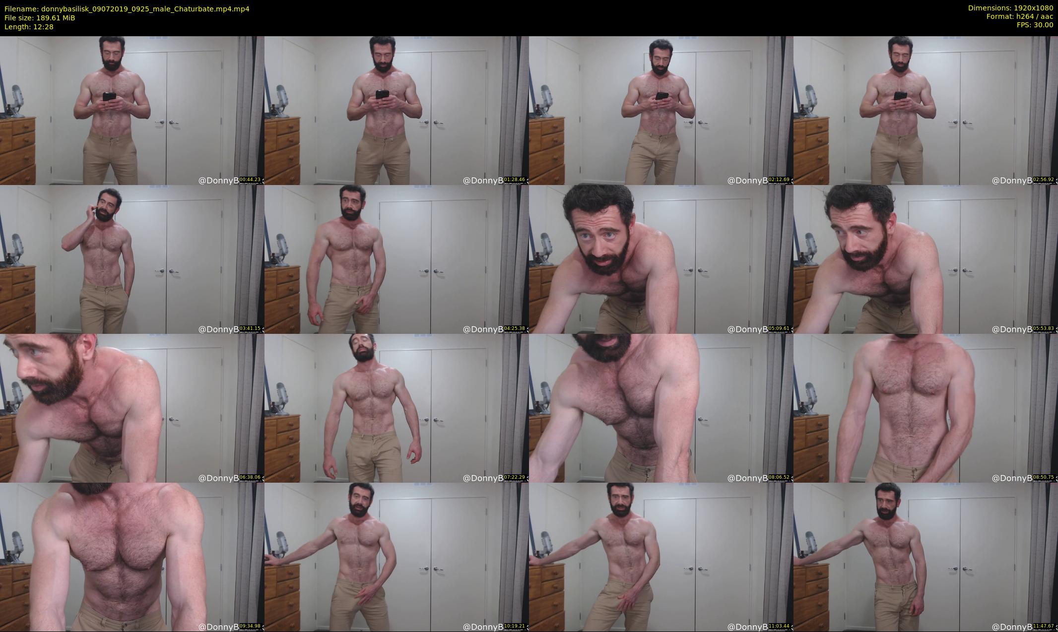 donnybasilisk — 13 minute Chaturbate male cam show recording, 1080p, Jul 9, 2019