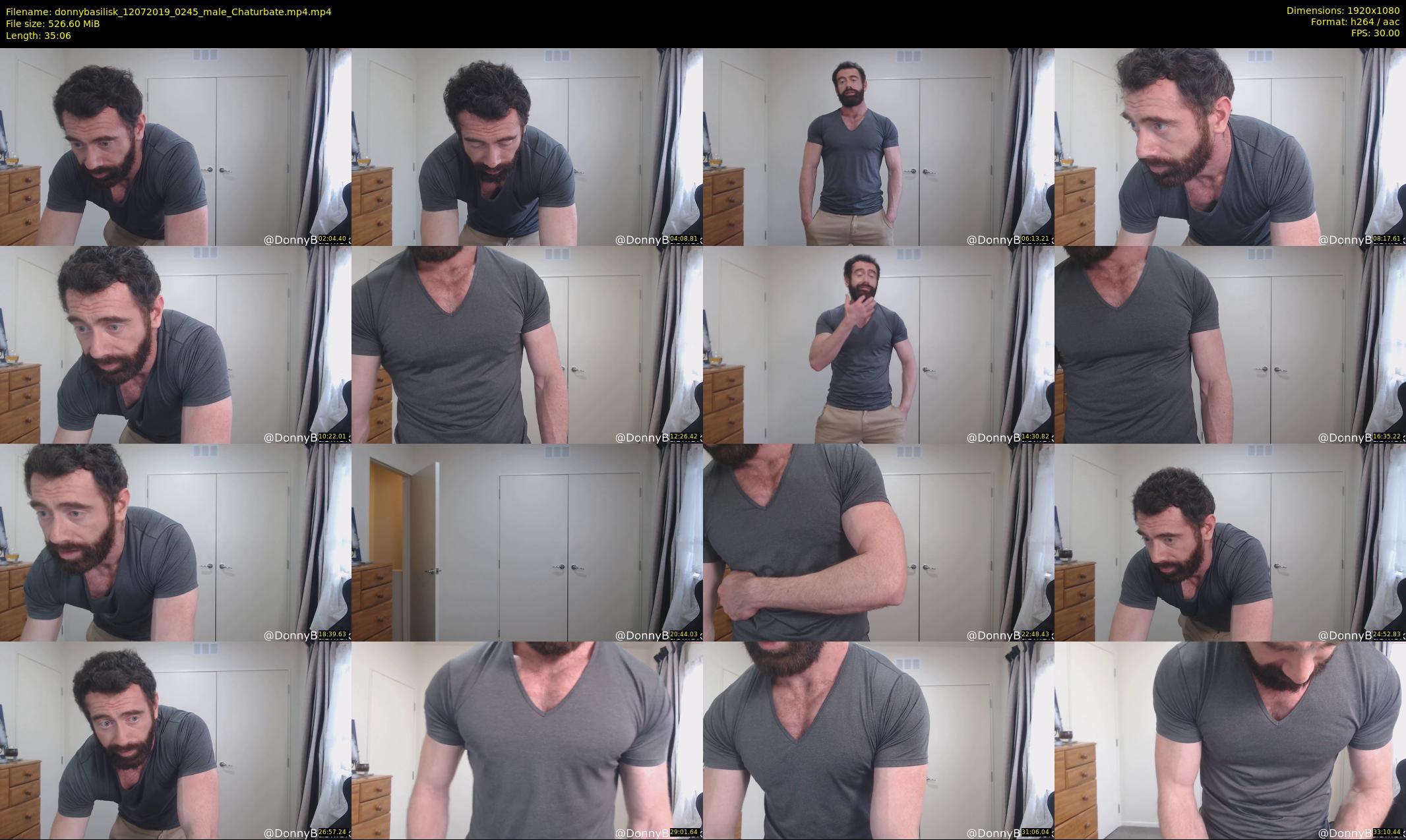 donnybasilisk — 36 minute Chaturbate male cam show recording, 1080p, Jul 12, 2019