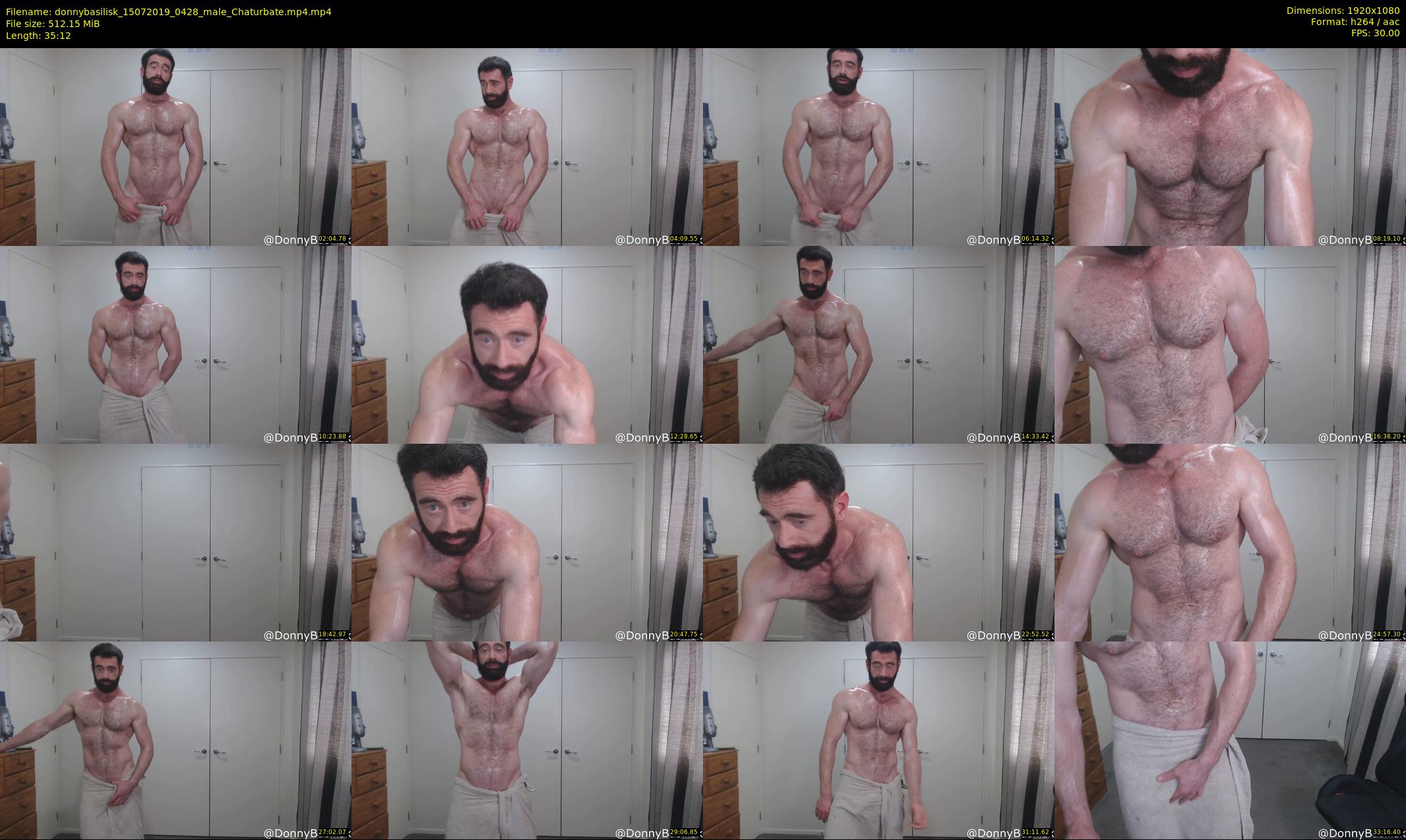 donnybasilisk — 36 minute Chaturbate male cam show recording, 1080p, Jul 15, 2019