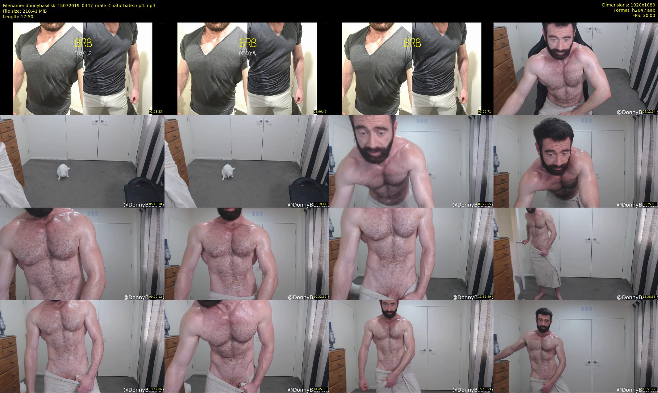 donnybasilisk — 18 minute Chaturbate male cam show recording, 1080p, Jul 15, 2019