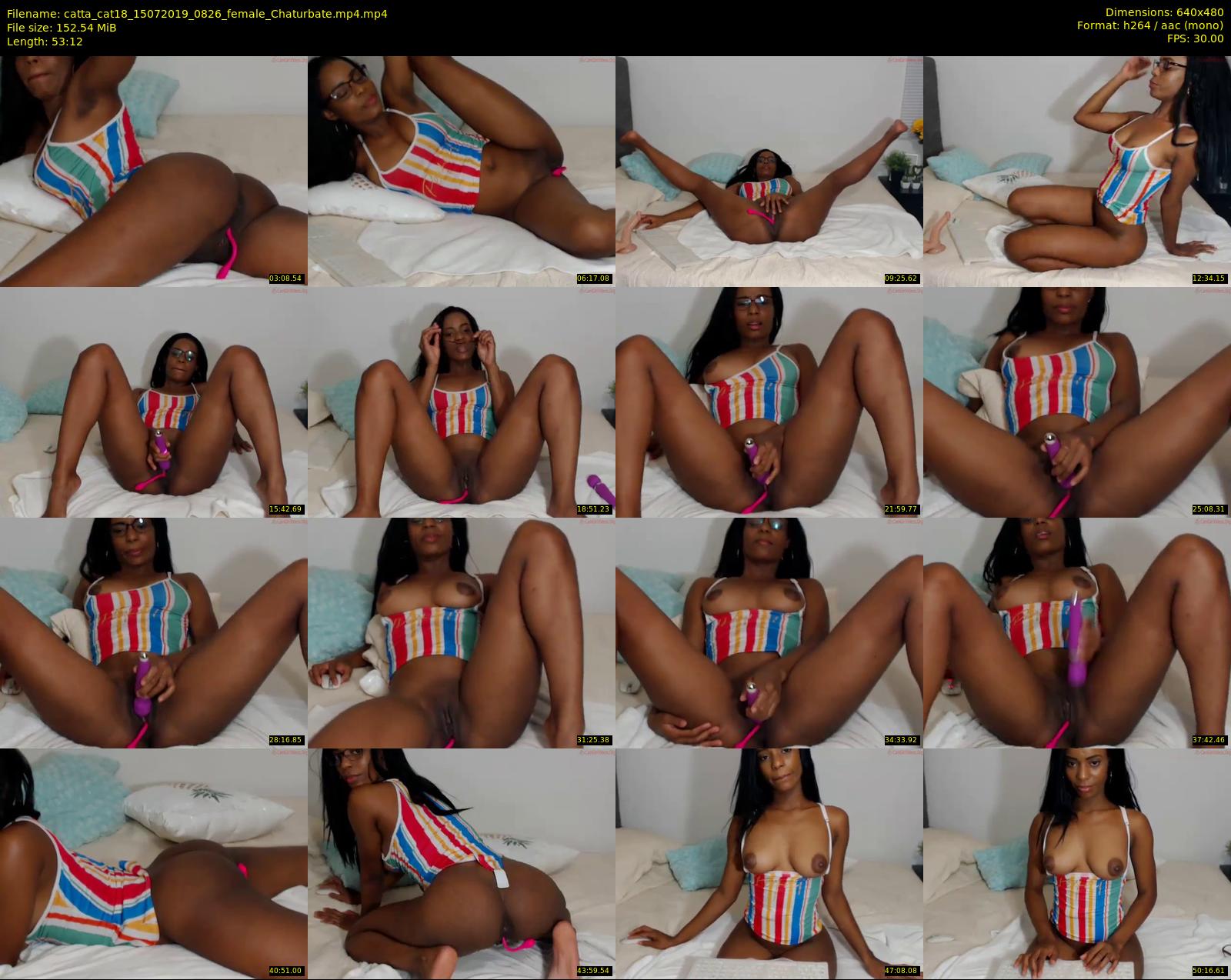 catta_cat18 — 54 minute Chaturbate female cam show recording, 480p, Jul 15, 2019