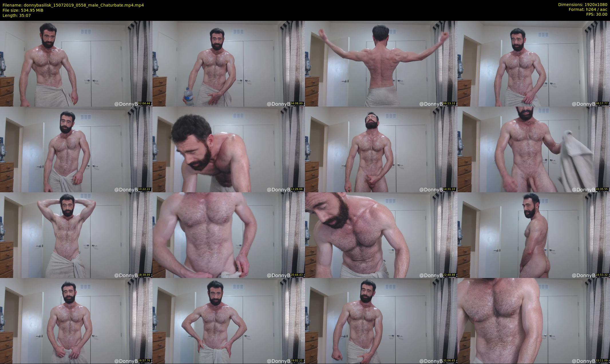 donnybasilisk — 36 minute Chaturbate male cam show recording, 1080p, Jul 15, 2019