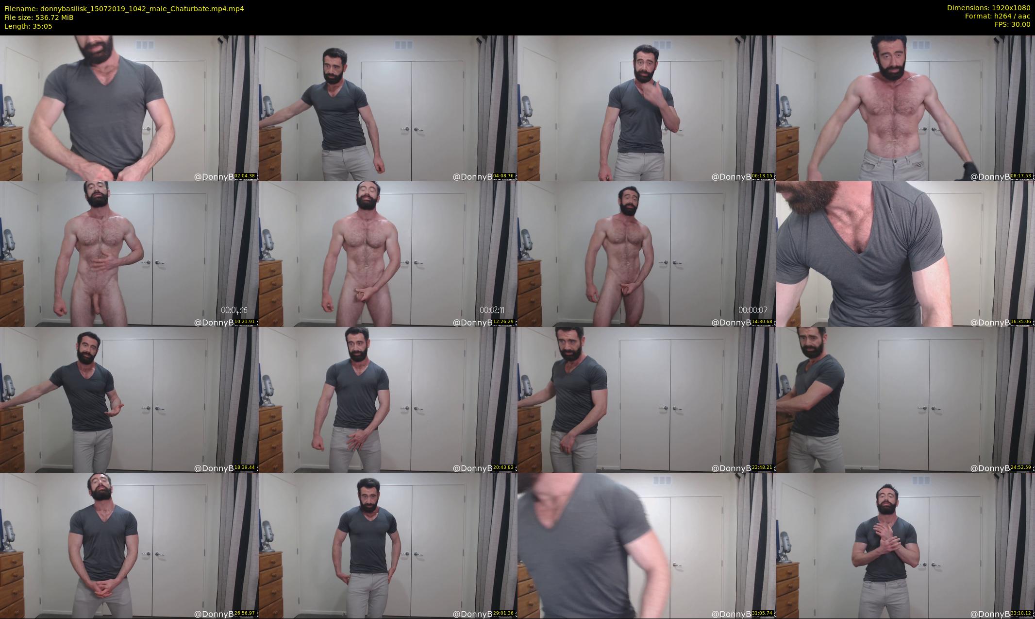 donnybasilisk — 36 minute Chaturbate male cam show recording, 1080p, Jul 15, 2019