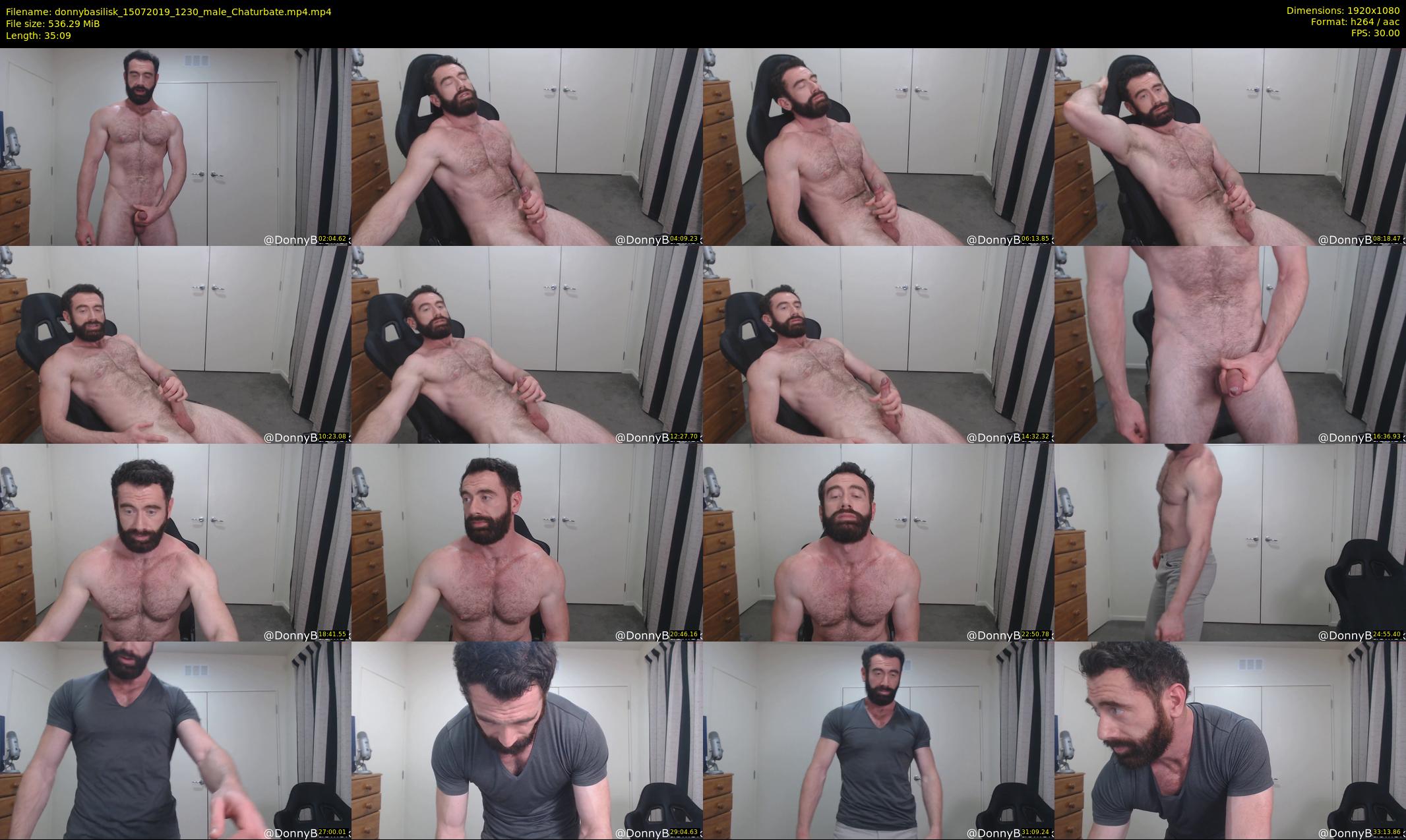 donnybasilisk — 36 minute Chaturbate male cam show recording, 1080p, Jul 15, 2019