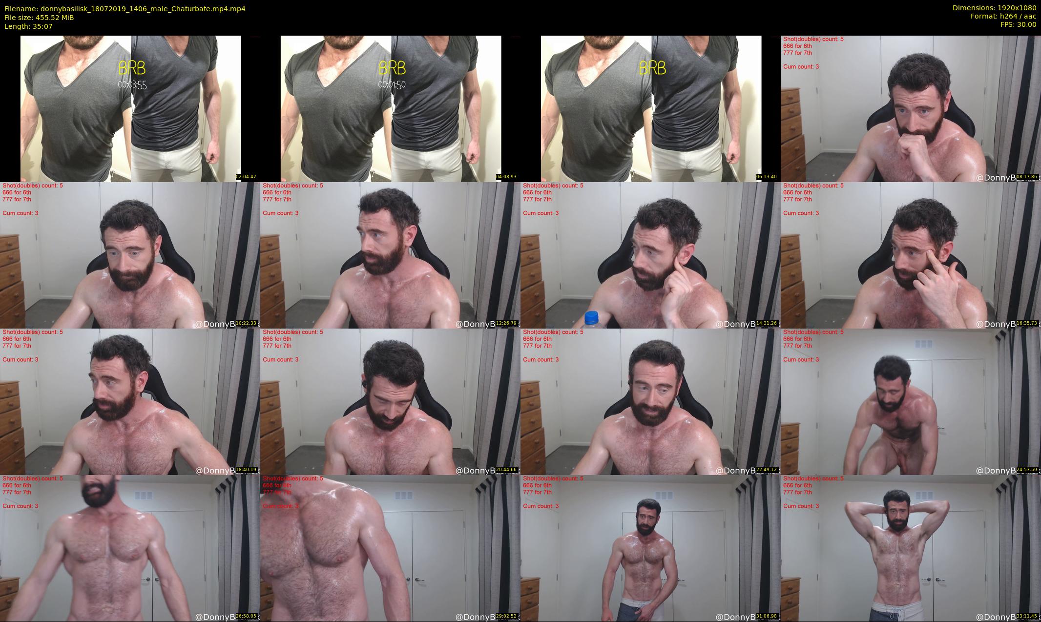 donnybasilisk — 36 minute Chaturbate male cam show recording, 1080p, Jul 18, 2019