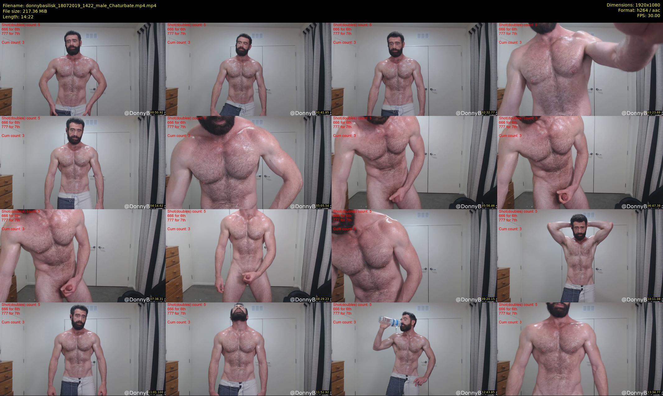 donnybasilisk — 15 minute Chaturbate male cam show recording, 1080p, Jul 18, 2019
