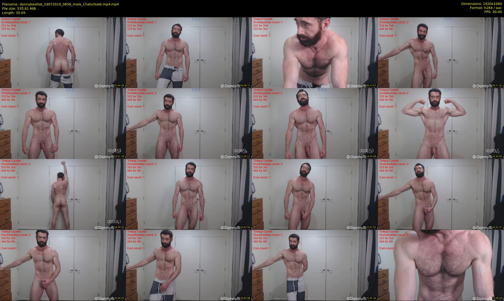 donnybasilisk — 36 minute Chaturbate male cam show recording, 1080p, Jul 19, 2019