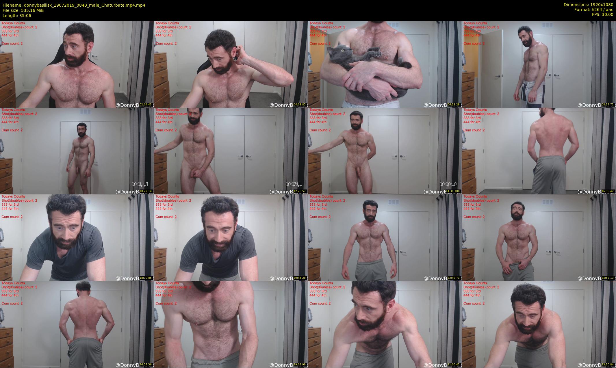 donnybasilisk — 36 minute Chaturbate male cam show recording, 1080p, Jul 19, 2019