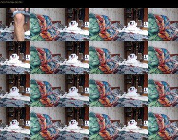 evgheni — 34 minute Chaturbate male cam show recording, 480p, Jul 20, 2019