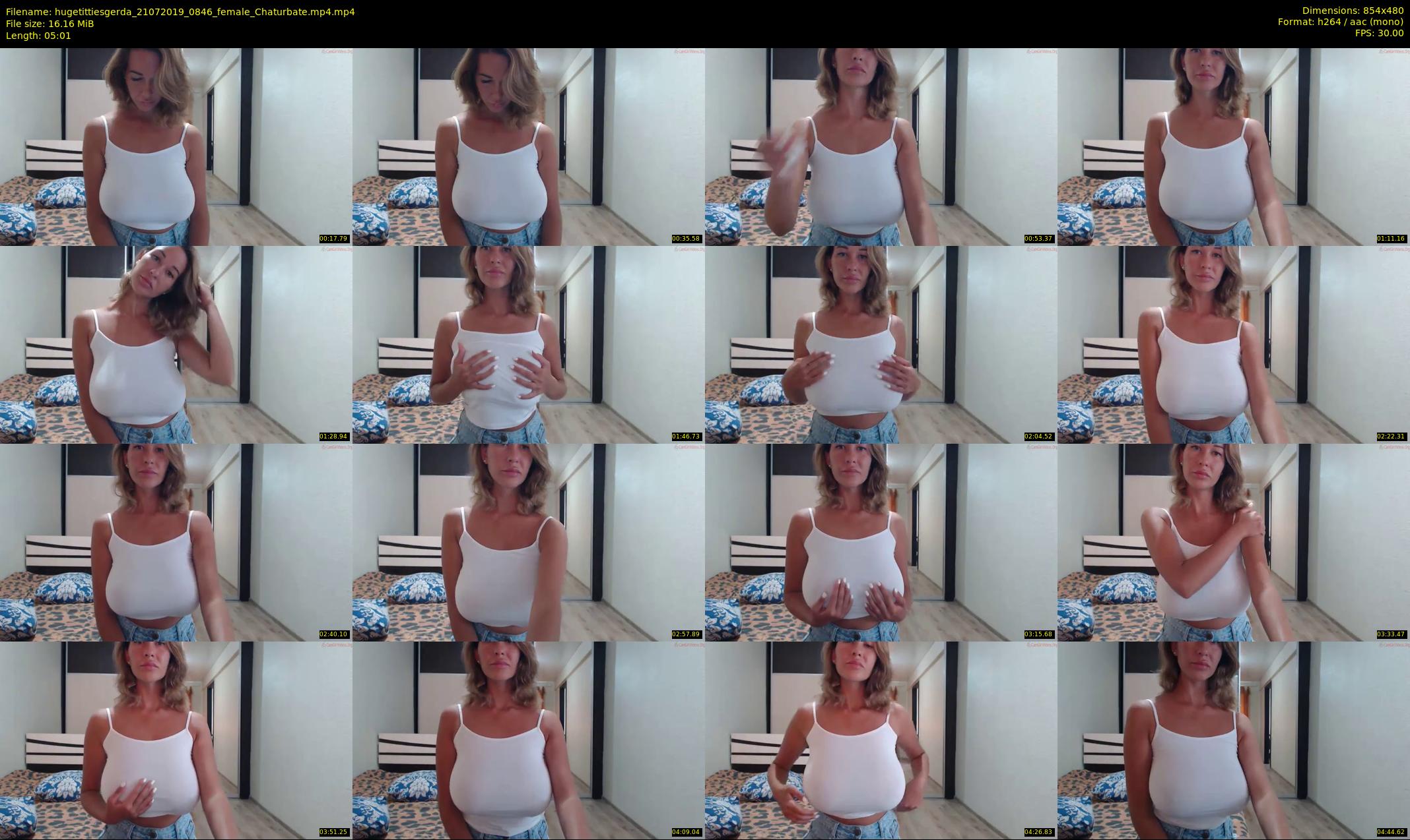 hugetittiesgerda — 6 minute Chaturbate female cam show recording, 480p, Jul 21, 2019