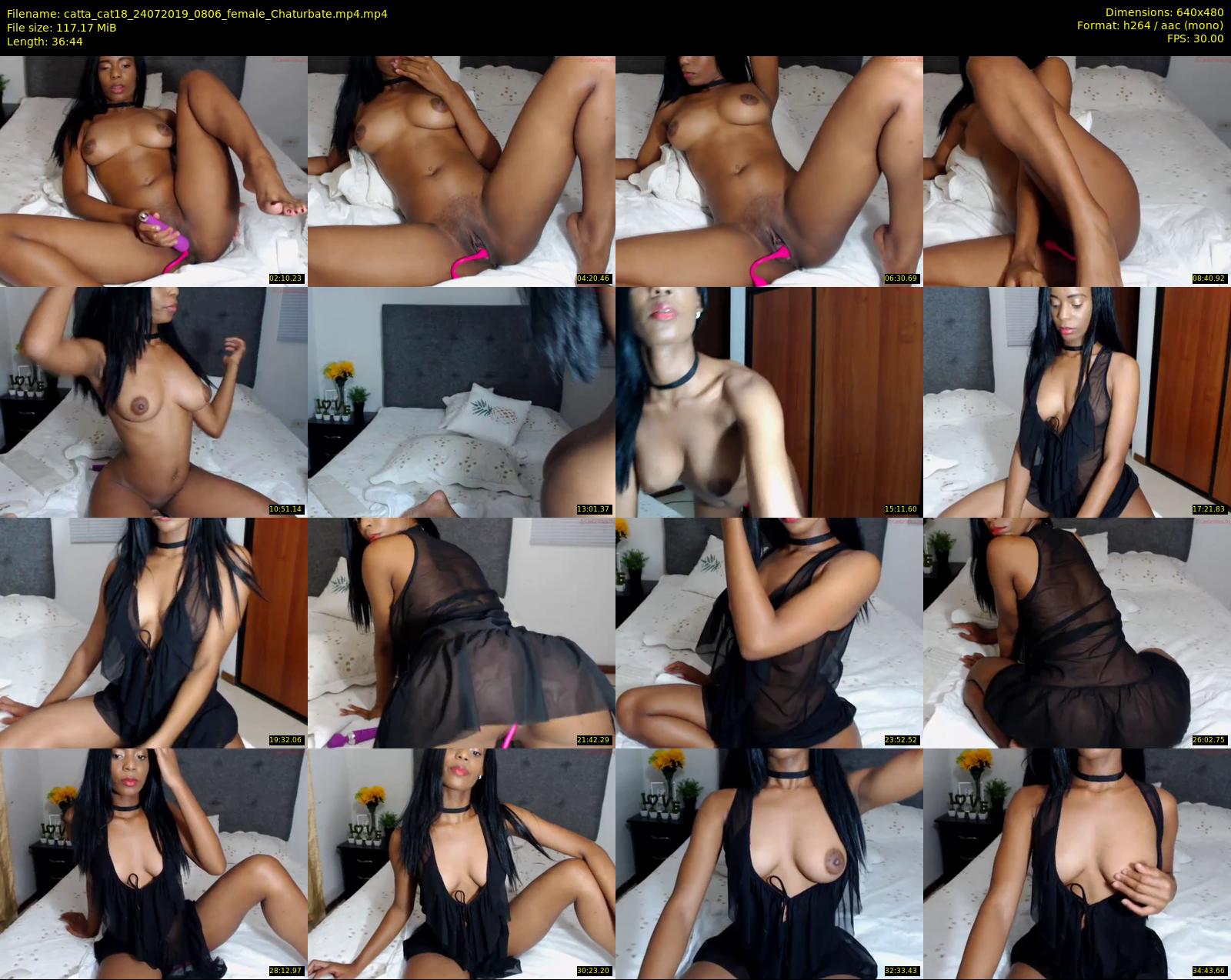 catta_cat18 — 37 minute Chaturbate female cam show recording, 480p, Jul 24, 2019