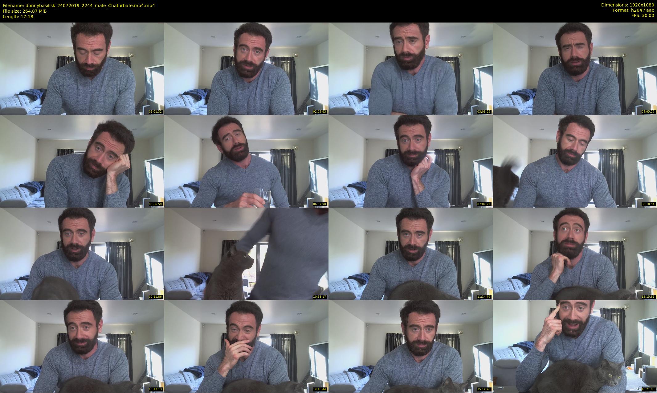 donnybasilisk — 18 minute Chaturbate male cam show recording, 1080p, Jul 24, 2019