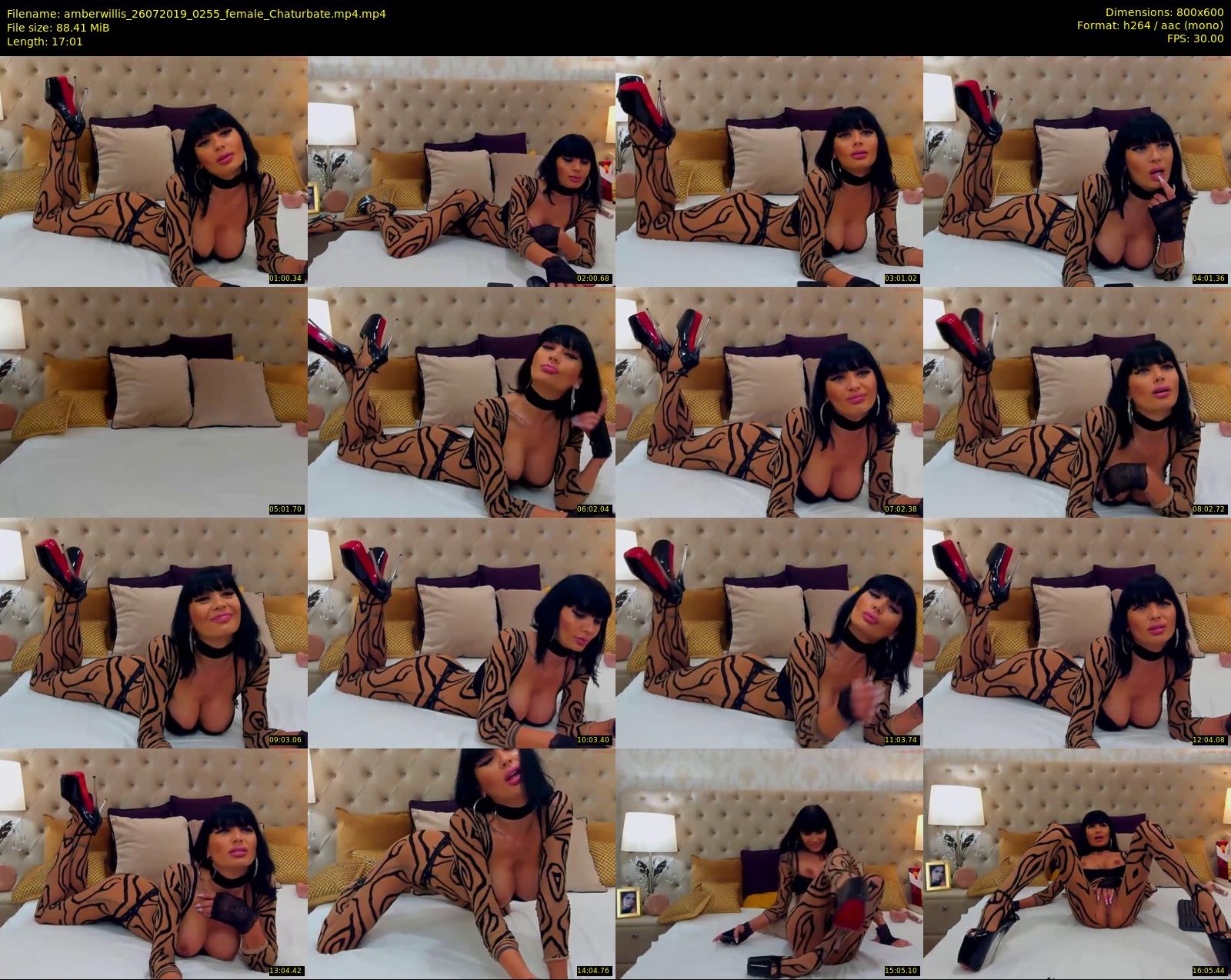 amberwillis — 18 minute Chaturbate female cam show recording, 480p, Jul 26, 2019