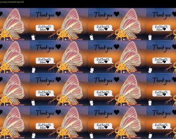 aveksmr — 17 minute Chaturbate couple cam show recording, 1080p, Jul 25, 2019