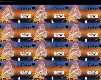 aveksmr — 4 minute Chaturbate couple cam show recording, 1080p, Jul 25, 2019