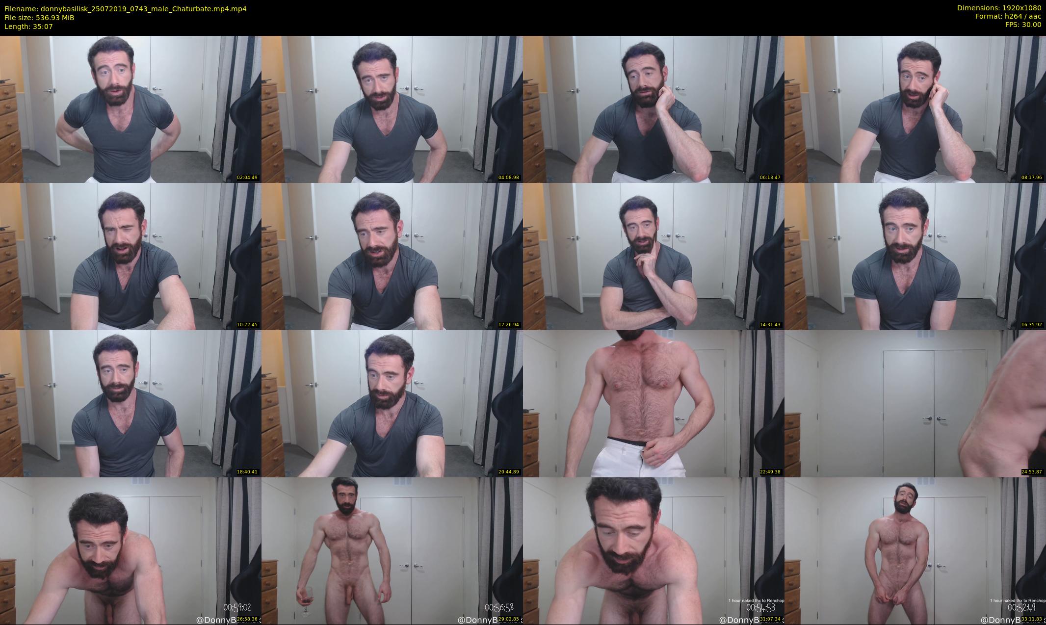 donnybasilisk — 36 minute Chaturbate male cam show recording, 1080p, Jul 25, 2019
