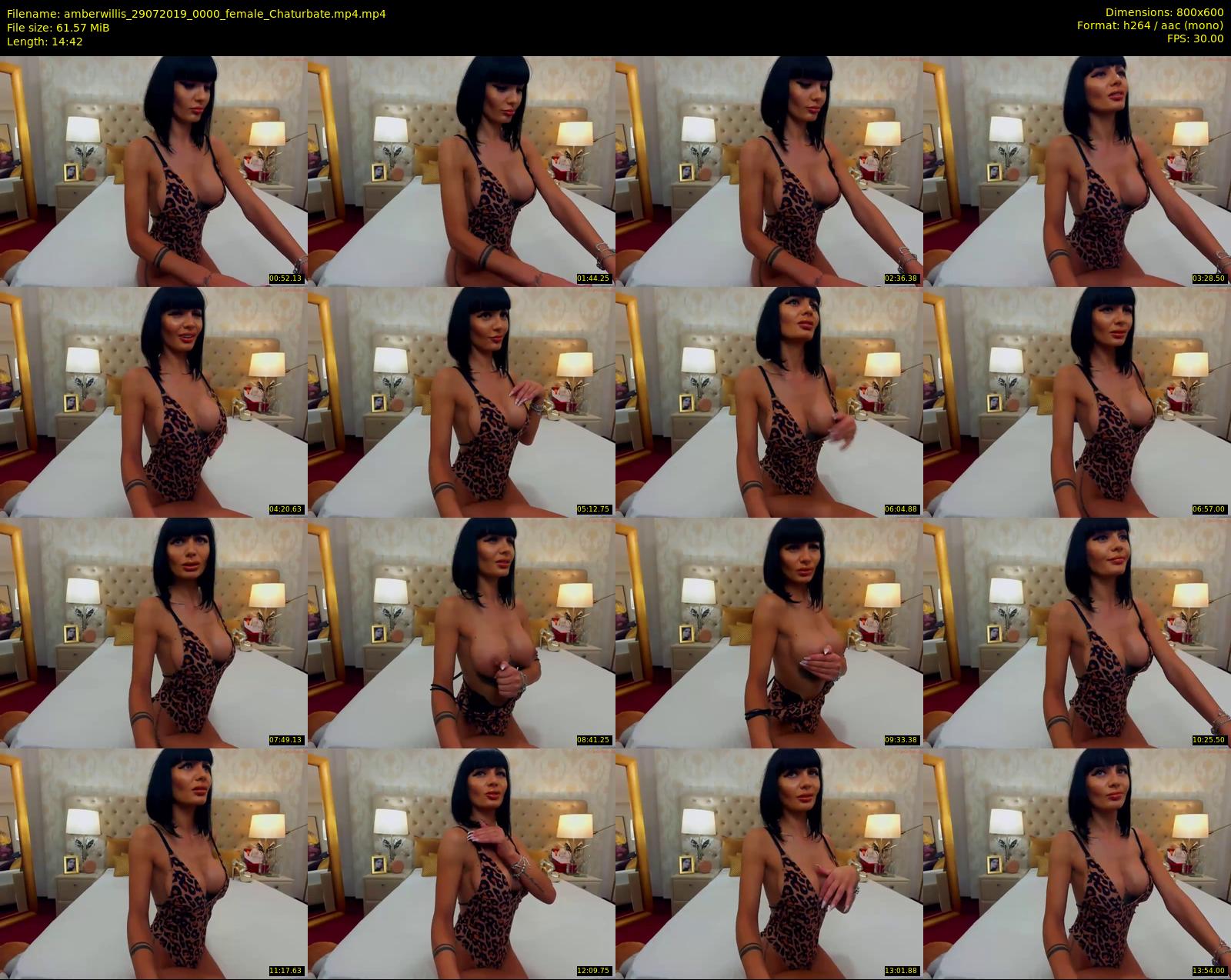 amberwillis — 15 minute Chaturbate female cam show recording, 480p, Jul 29, 2019
