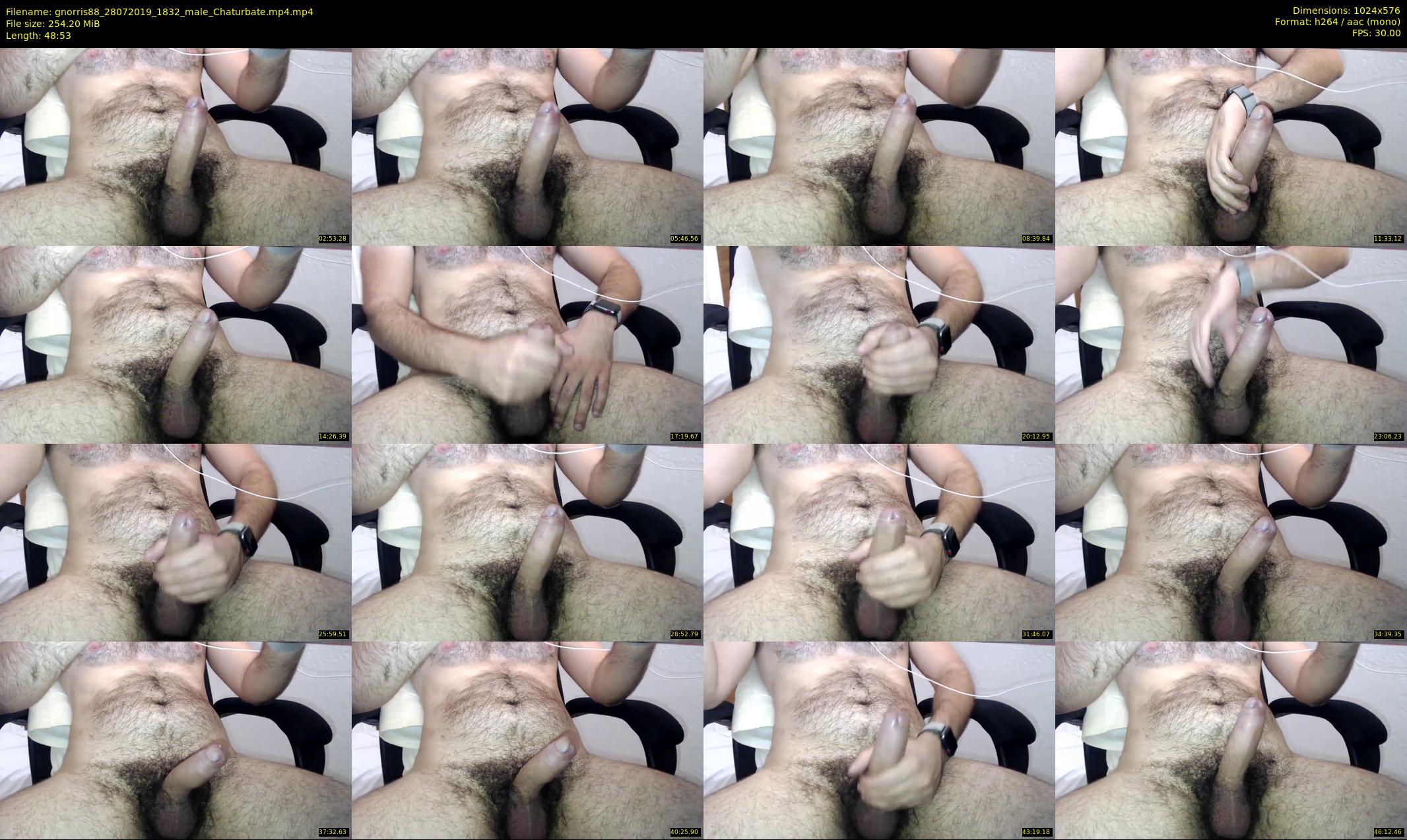 gnorris88 — 49 minute Chaturbate male cam show recording, 480p, Jul 28, 2019