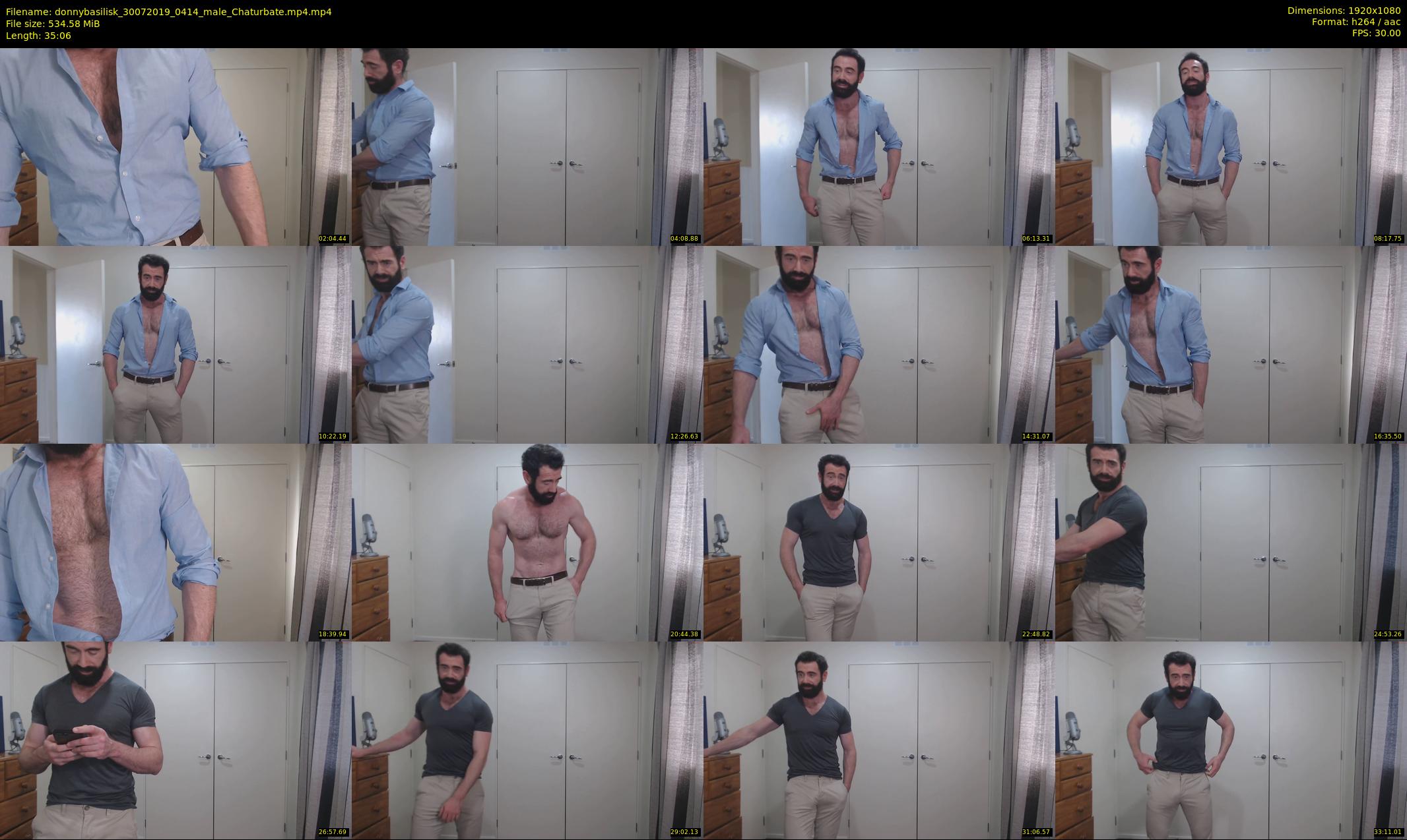 donnybasilisk — 36 minute Chaturbate male cam show recording, 1080p, Jul 30, 2019