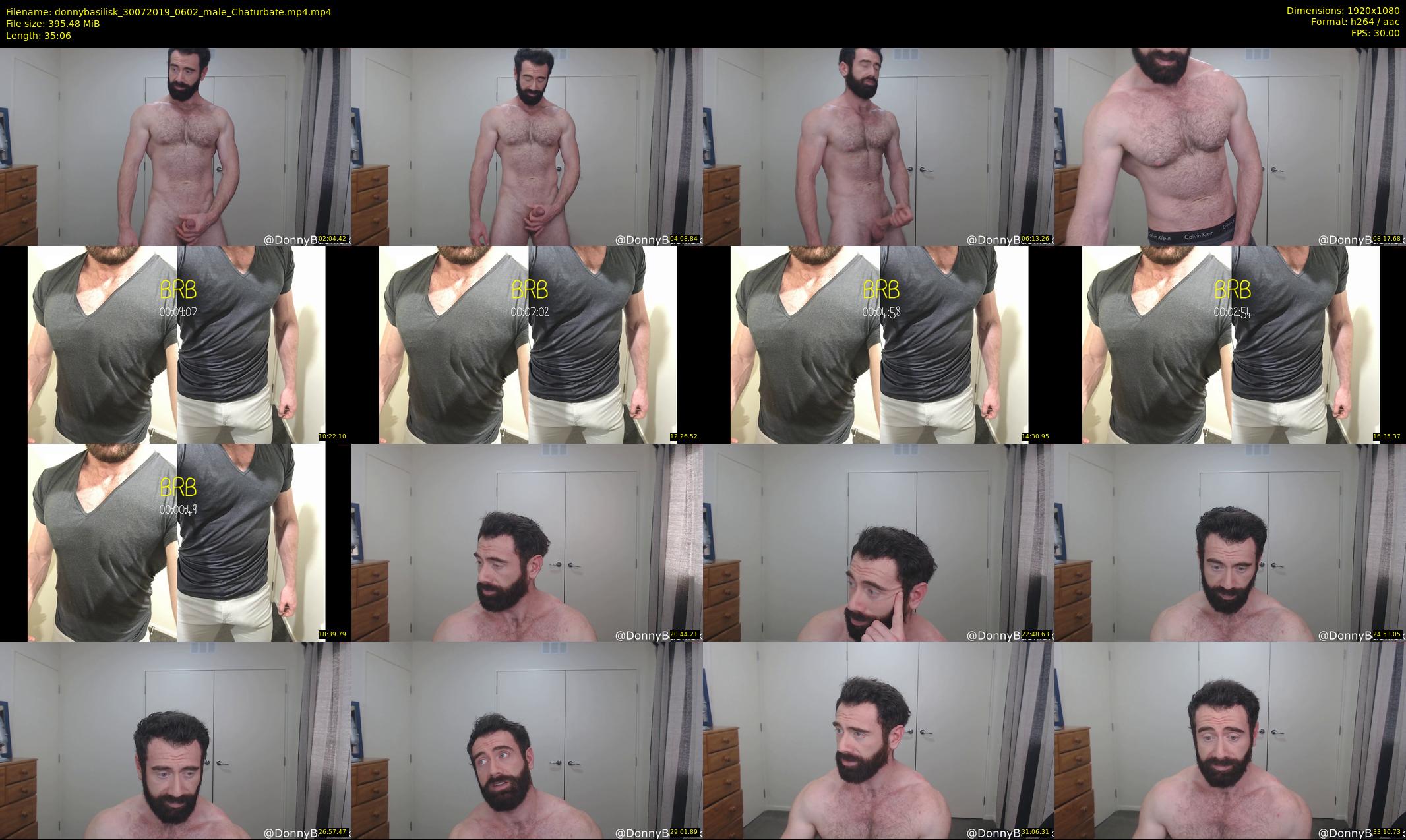 donnybasilisk — 36 minute Chaturbate male cam show recording, 1080p, Jul 30, 2019